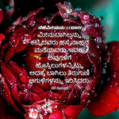 Picture 04 - ನೆಹೆಮೀಯನು 3:3 KANIRV - ಮೀನುಬಾಗಿಲನ್ನು - Bible Verse Picture