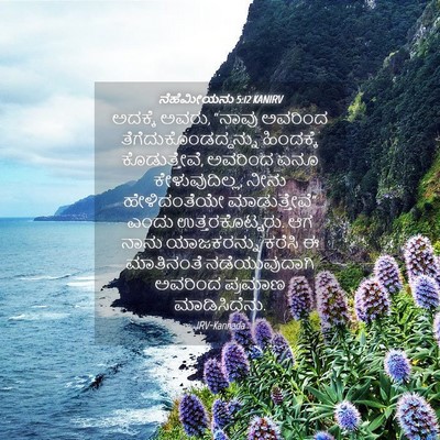 Picture 04 - ನೆಹೆಮೀಯನು 5:12 KANIRV - ಅದಕ್ಕೆ ಅವರು, “ನಾವು - Bible Verse Picture