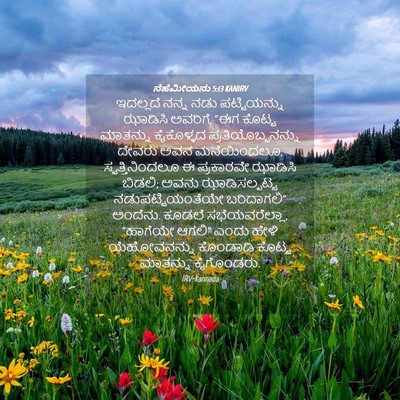 Picture 04 - ನೆಹೆಮೀಯನು 5:13 KANIRV - ಇದಲ್ಲದೆ ನನ್ನ ನಡು - Bible Verse Picture