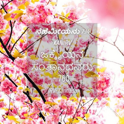 Picture 04 - ನೆಹೆಮೀಯನು 7:14 KANIRV - ಜಕ್ಕೈಯನ ಸಂತಾನದವರು - Bible Verse Picture