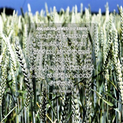 Picture 04 - ನ್ಯಾಯಸ್ಥಾಪಕರು 13:17 KANIRV - ಆದ್ದರಿಂದ ಅವನು ಆ - Bible Verse Picture
