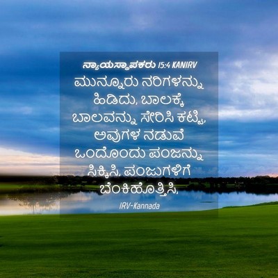 Picture 04 - ನ್ಯಾಯಸ್ಥಾಪಕರು 15:4 KANIRV - ಮುನ್ನೂರು - Bible Verse Picture