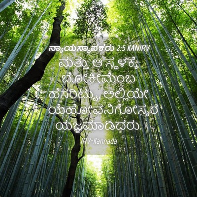 Picture 04 - ನ್ಯಾಯಸ್ಥಾಪಕರು 2:5 KANIRV - ಮತ್ತು ಆ ಸ್ಥಳಕ್ಕೆ - Bible Verse Picture