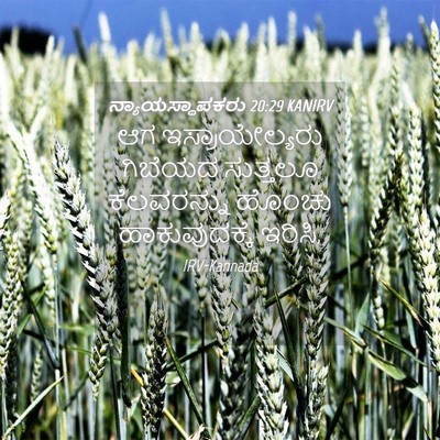 Picture 04 - ನ್ಯಾಯಸ್ಥಾಪಕರು 20:29 KANIRV - ಆಗ ಇಸ್ರಾಯೇಲ್ಯರು - Bible Verse Picture