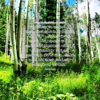 Picture 04 - ನ್ಯಾಯಸ್ಥಾಪಕರು 4:14 KANIRV - ಆಗ ದೆಬೋರಳು - Bible Verse Picture