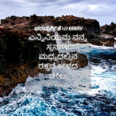 Picture 04 - ಪರಮಗೀತೆ 1:13 KANIRV - ಎನ್ನಿನಿಯನು ನನ್ನ - Bible Verse Picture