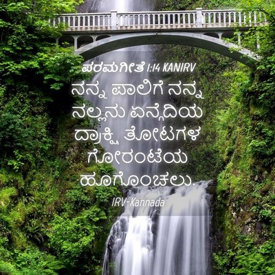 Picture 04 - ಪರಮಗೀತೆ 1:14 KANIRV - ನನ್ನ ಪಾಲಿಗೆ ನನ್ನ - Bible Verse Picture