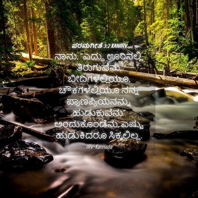Picture 04 - ಪರಮಗೀತೆ 3:2 KANIRV - ನಾನು, “ಎದ್ದು - Bible Verse Picture