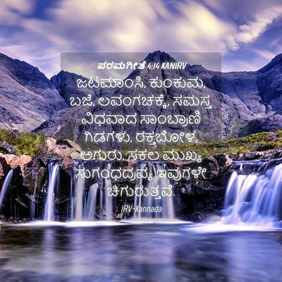Picture 04 - ಪರಮಗೀತೆ 4:14 KANIRV - ಜಟಮಾಂಸಿ, ಕುಂಕುಮ, - Bible Verse Picture