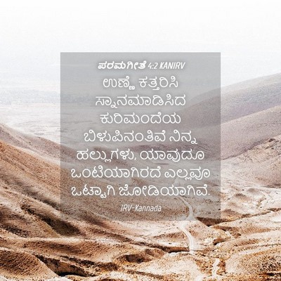 Picture 04 - ಪರಮಗೀತೆ 4:2 KANIRV - ಉಣ್ಣೆ ಕತ್ತರಿಸಿ - Bible Verse Picture