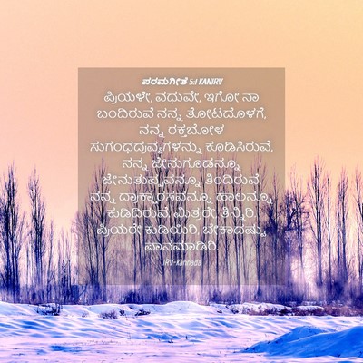 Picture 04 - ಪರಮಗೀತೆ 5:1 KANIRV - ಪ್ರಿಯಳೇ, ವಧುವೇ, ಇಗೋ - Bible Verse Picture