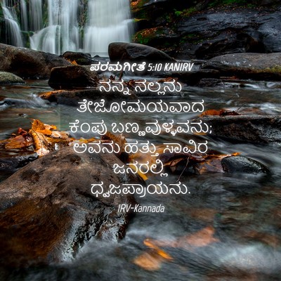Picture 04 - ಪರಮಗೀತೆ 5:10 KANIRV - ನನ್ನ ನಲ್ಲನು - Bible Verse Picture