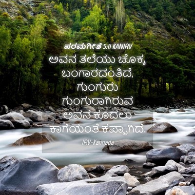 Picture 04 - ಪರಮಗೀತೆ 5:11 KANIRV - ಅವನ ತಲೆಯು ಚೊಕ್ಕ - Bible Verse Picture
