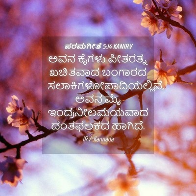 Picture 04 - ಪರಮಗೀತೆ 5:14 KANIRV - ಅವನ ಕೈಗಳು ಪೀತರತ್ನ - Bible Verse Picture