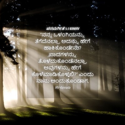Picture 04 - ಪರಮಗೀತೆ 5:3 KANIRV - “ನನ್ನ ಒಳಂಗಿಯನ್ನು - Bible Verse Picture