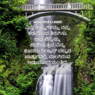 Picture 04 - ಪರಮಗೀತೆ 6:5 KANIRV - ನಿನ್ನ ಕಣ್ಣುಗಳನ್ನು - Bible Verse Picture