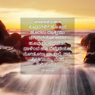 Picture 04 - ಪರಮಗೀತೆ 7:12 KANIRV - ತೋಟಗಳಿಗೆ ಹೊತ್ತಾರೆ - Bible Verse Picture