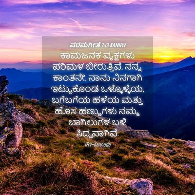 Picture 04 - ಪರಮಗೀತೆ 7:13 KANIRV - ಕಾಮಜನಕ ವೃಕ್ಷಗಳು - Bible Verse Picture