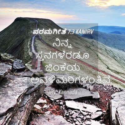 Picture 04 - ಪರಮಗೀತೆ 7:3 KANIRV - ನಿನ್ನ ಸ್ತನಗಳೆರಡೂ - Bible Verse Picture