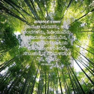 Picture 04 - ಪರಮಗೀತೆ 7:8 KANIRV - ನಾನು ಆ ಮರವನ್ನು - Bible Verse Picture