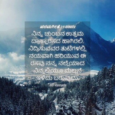 Picture 04 - ಪರಮಗೀತೆ 7:9 KANIRV - ನಿನ್ನ ಚುಂಬನ ಉತ್ತಮ - Bible Verse Picture