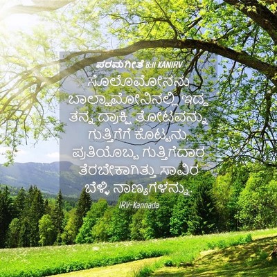 Picture 04 - ಪರಮಗೀತೆ 8:11 KANIRV - ಸೊಲೊಮೋನನು - Bible Verse Picture