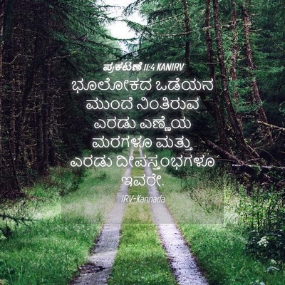 Picture 04 - ಪ್ರಕಟಣೆ 11:4 KANIRV - ಭೂಲೋಕದ ಒಡೆಯನ - Bible Verse Picture