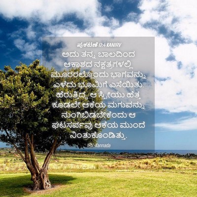 Picture 04 - ಪ್ರಕಟಣೆ 12:4 KANIRV - ಅದು ತನ್ನ ಬಾಲದಿಂದ - Bible Verse Picture