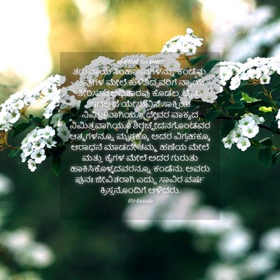 Picture 04 - ಪ್ರಕಟಣೆ 20:4 KANIRV - ತರುವಾಯ - Bible Verse Picture