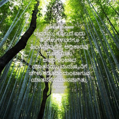 Picture 04 - ಪ್ರಕಟಣೆ 9:5 KANIRV - ಅವರನ್ನು ಕೊಲ್ಲದೆ - Bible Verse Picture