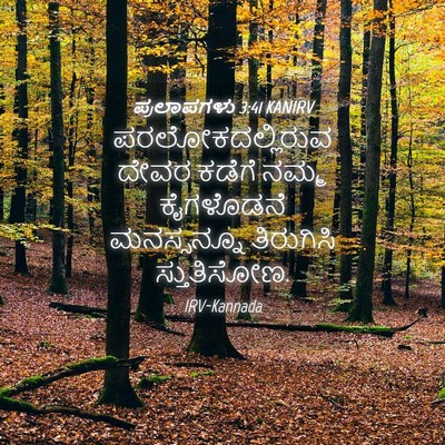 Picture 04 - ಪ್ರಲಾಪಗಳು 3:41 KANIRV - ಪರಲೋಕದಲ್ಲಿರುವ - Bible Verse Picture