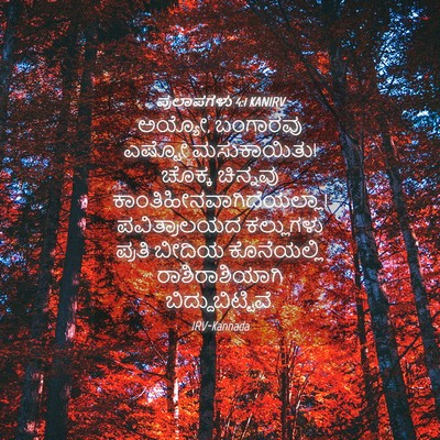 Picture 04 - ಪ್ರಲಾಪಗಳು 4:1 KANIRV - ಅಯ್ಯೋ, ಬಂಗಾರವು - Bible Verse Picture