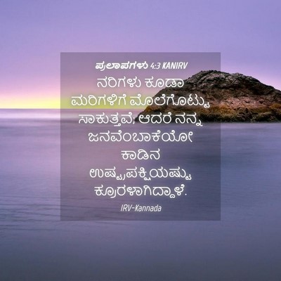 Picture 04 - ಪ್ರಲಾಪಗಳು 4:3 KANIRV - ನರಿಗಳು ಕೂಡಾ - Bible Verse Picture