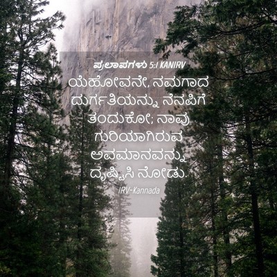 Picture 04 - ಪ್ರಲಾಪಗಳು 5:1 KANIRV - ಯೆಹೋವನೇ, ನಮಗಾದ - Bible Verse Picture