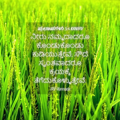 Picture 04 - ಪ್ರಲಾಪಗಳು 5:4 KANIRV - ನೀರು ನಮ್ಮದಾದರೂ - Bible Verse Picture
