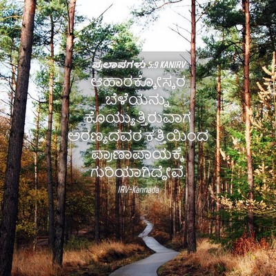 Picture 04 - ಪ್ರಲಾಪಗಳು 5:9 KANIRV - ಆಹಾರಕ್ಕೋಸ್ಕರ - Bible Verse Picture