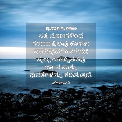 Picture 04 - ಪ್ರಸಂಗಿ 10:1 KANIRV - ಸತ್ತ ನೊಣಗಳಿಂದ - Bible Verse Picture