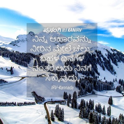 Picture 04 - ಪ್ರಸಂಗಿ 11:1 KANIRV - ನಿನ್ನ ಆಹಾರವನ್ನು - Bible Verse Picture
