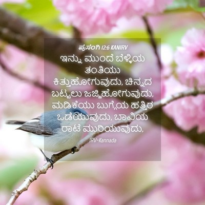 Picture 04 - ಪ್ರಸಂಗಿ 12:6 KANIRV - ಇನ್ನು ಮುಂದೆ - Bible Verse Picture