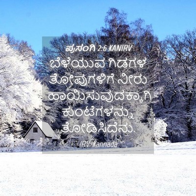 Picture 04 - ಪ್ರಸಂಗಿ 2:6 KANIRV - ಬೆಳೆಯುವ ಗಿಡಗಳ - Bible Verse Picture