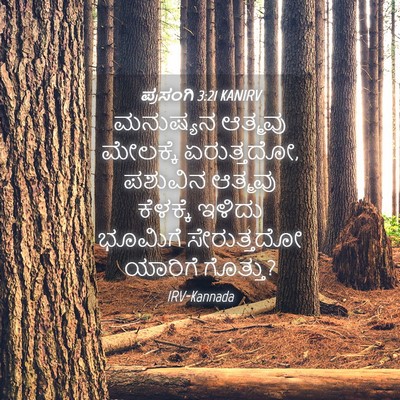 Picture 04 - ಪ್ರಸಂಗಿ 3:21 KANIRV - ಮನುಷ್ಯನ ಆತ್ಮವು - Bible Verse Picture