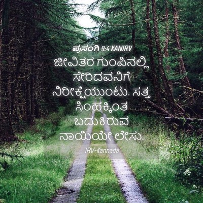 Picture 04 - ಪ್ರಸಂಗಿ 9:4 KANIRV - ಜೀವಿತರ ಗುಂಪಿನಲ್ಲಿ - Bible Verse Picture