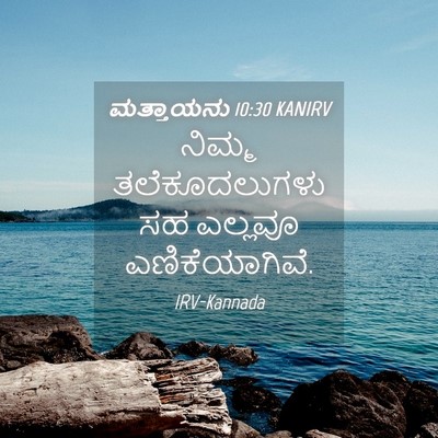Picture 04 - ಮತ್ತಾಯನು 10:30 KANIRV - ನಿಮ್ಮ ತಲೆಕೂದಲುಗಳು - Bible Verse Picture