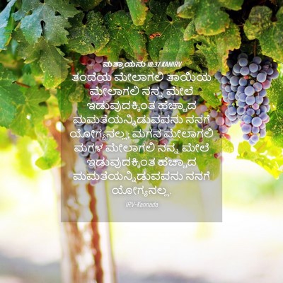Picture 04 - ಮತ್ತಾಯನು 10:37 KANIRV - ತಂದೆಯ ಮೇಲಾಗಲಿ - Bible Verse Picture