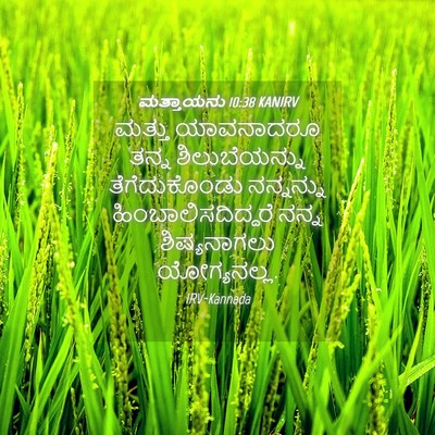 Picture 04 - ಮತ್ತಾಯನು 10:38 KANIRV - ಮತ್ತು ಯಾವನಾದರೂ - Bible Verse Picture