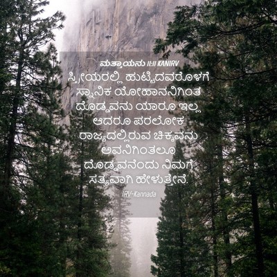 Picture 04 - ಮತ್ತಾಯನು 11:11 KANIRV - ಸ್ತ್ರೀಯರಲ್ಲಿ - Bible Verse Picture