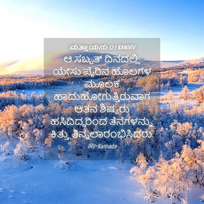 Picture 04 - ಮತ್ತಾಯನು 12:1 KANIRV - ಆ ಸಬ್ಬತ್ ದಿನದಲ್ಲಿ - Bible Verse Picture