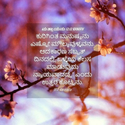 Picture 04 - ಮತ್ತಾಯನು 12:12 KANIRV - ಕುರಿಗಿಂತ ಮನುಷ್ಯನು - Bible Verse Picture