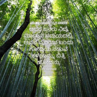 Picture 04 - ಮತ್ತಾಯನು 13:25 KANIRV - ಆದರೆ ಜನರು ನಿದ್ರೆ - Bible Verse Picture