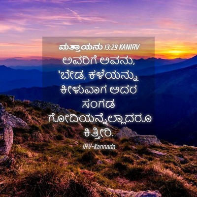 Picture 04 - ಮತ್ತಾಯನು 13:29 KANIRV - ಅವರಿಗೆ ಅವನು, ‘ಬೇಡ, - Bible Verse Picture